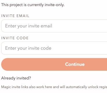 Screenshot of a invite only form of a unknown project